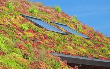Green Ore living roof systems