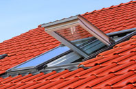Green Ore roof window